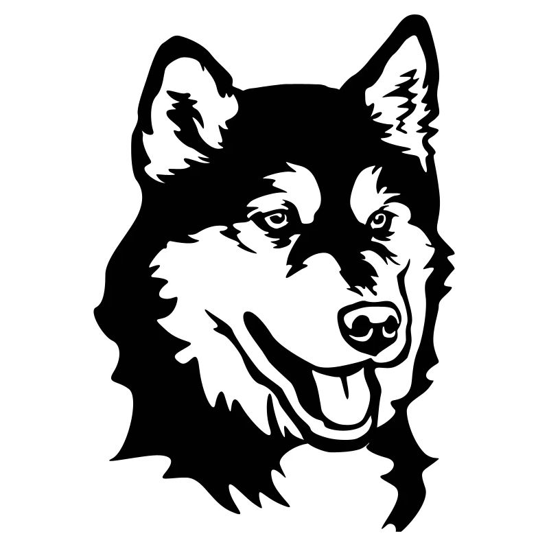 Alaskan Malamute Head