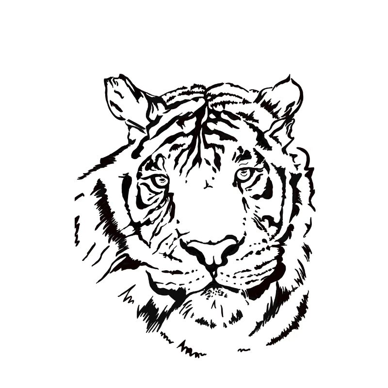 Hand-drawn tiger