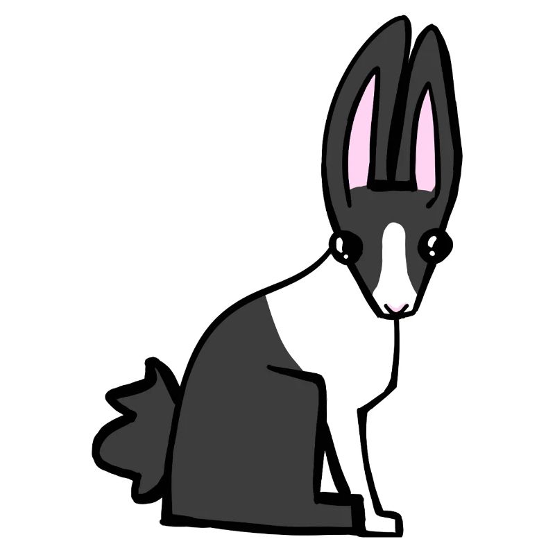 bunny