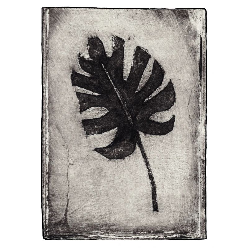 Plante de Monstera - Gravée à la main imprimable