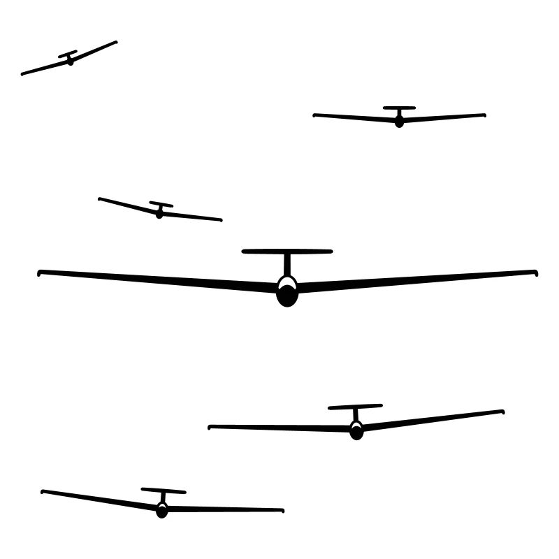 team gliding glider pilot