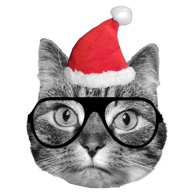 Mignon chat de Noël