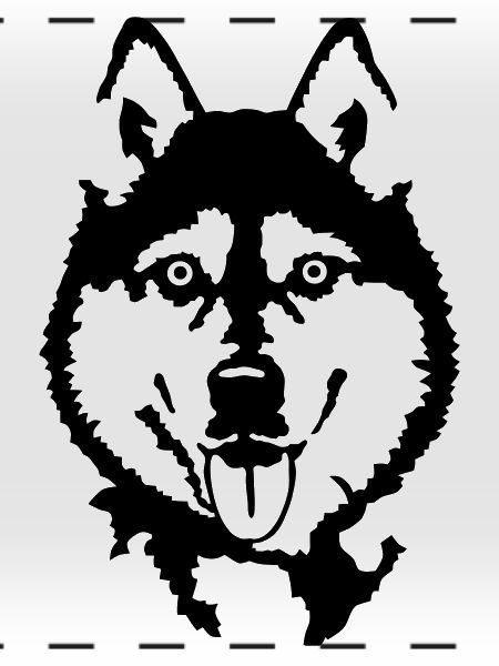 Husky