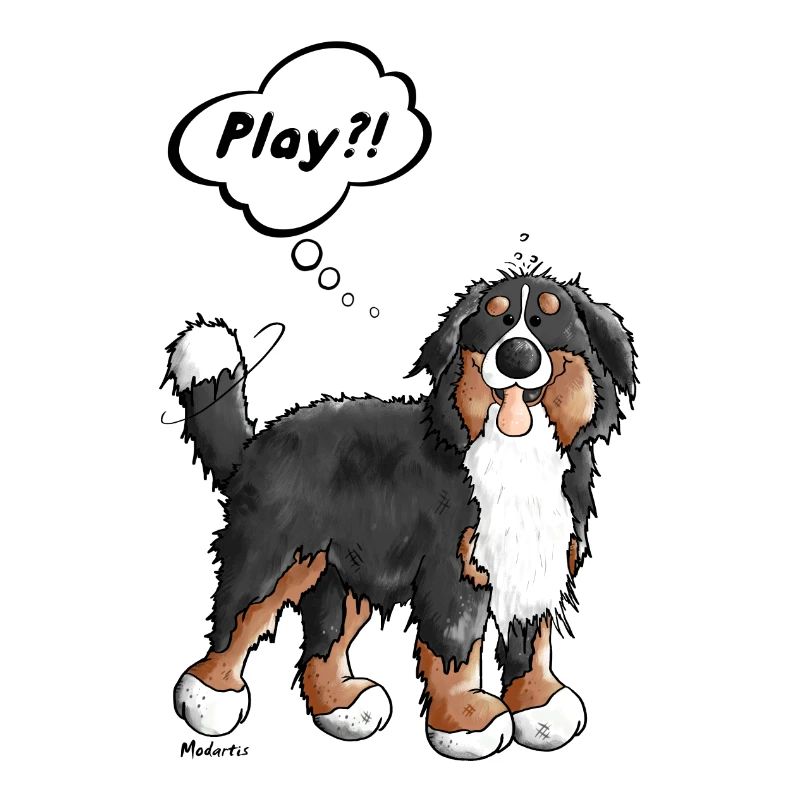 Play bernese mountain dog