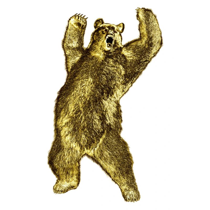Powerful bear appearance