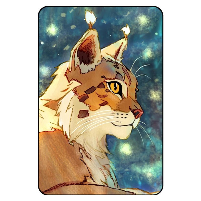 Luchs im Profil