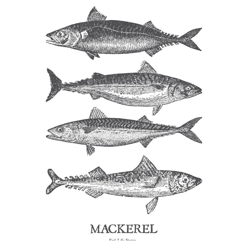 Mackerel Silhouette Quartet