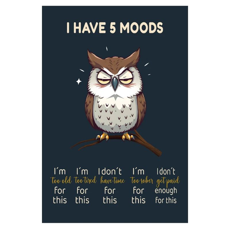 Grumpy Owl - J’ai 5 humeurs Design drôle