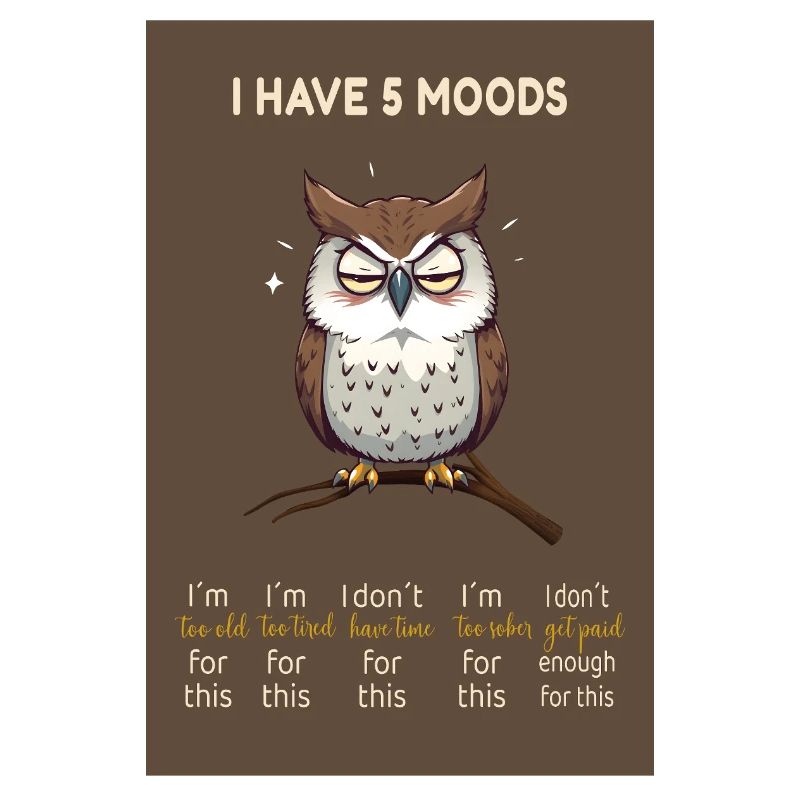 Grumpy Owl – I Have 5 Moods Funny Design