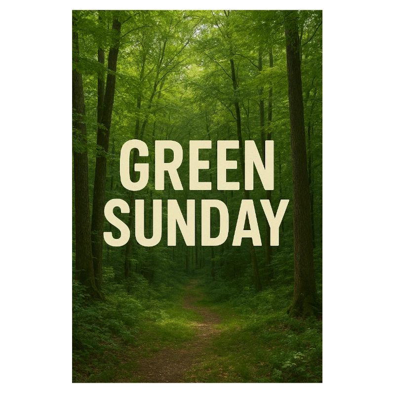 Dimanche vert dans la forêt