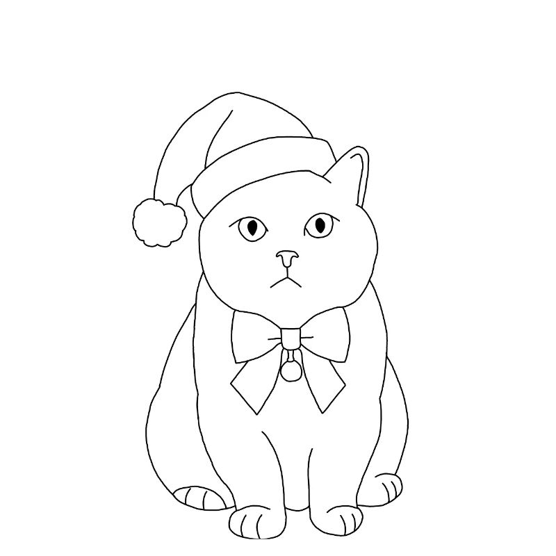 Weihnachtskatze