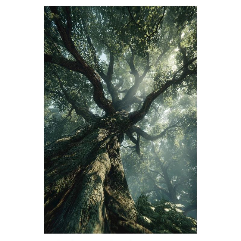 Ancienne Lumière de la Forêt