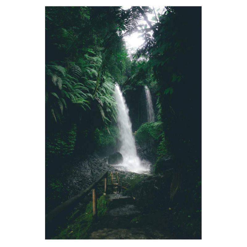 Cascade dans la Jungle Verte
