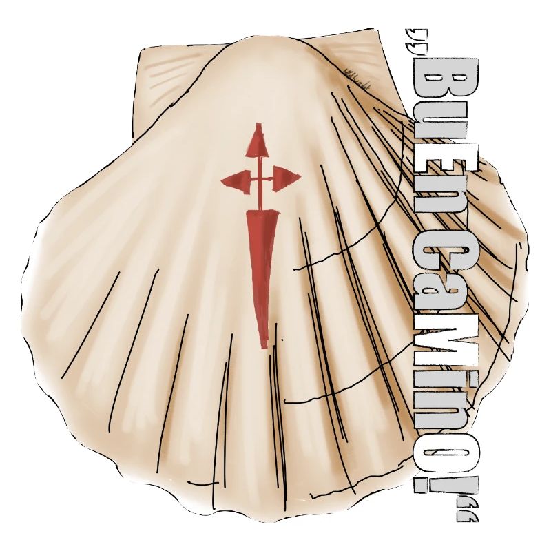 Coquille Saint-Jacques