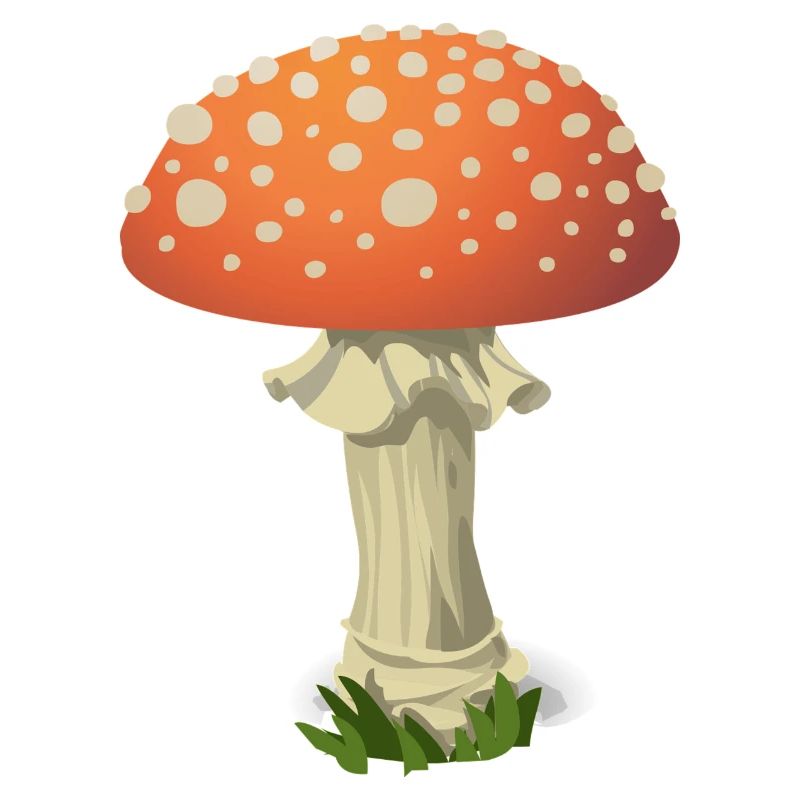 Toadstool