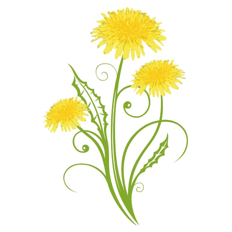 Realistic dandelion, dandelion, dandelion
