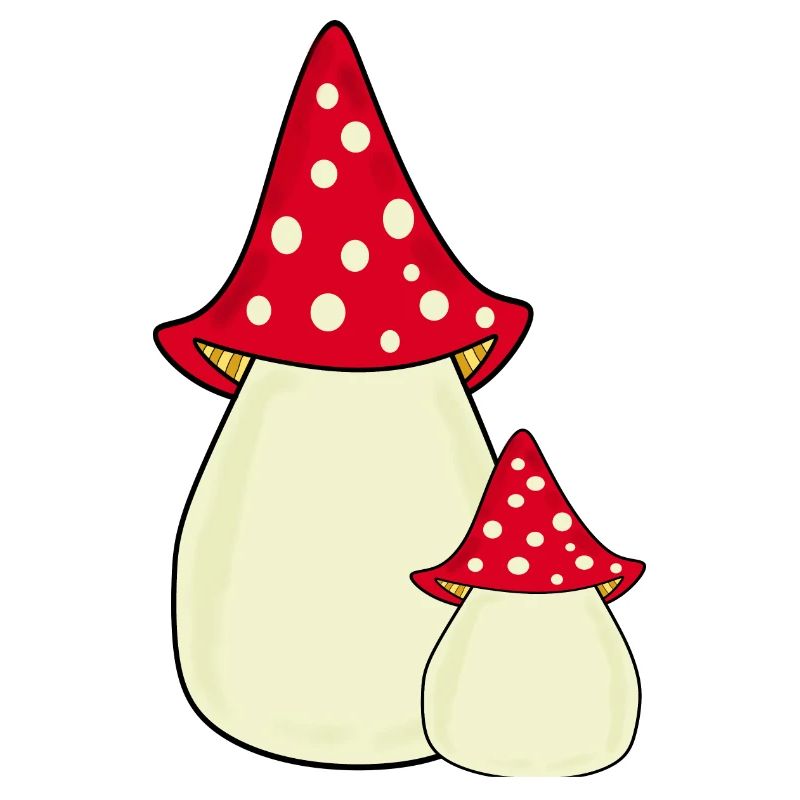 Toadstool, mushroom in the woods gift
