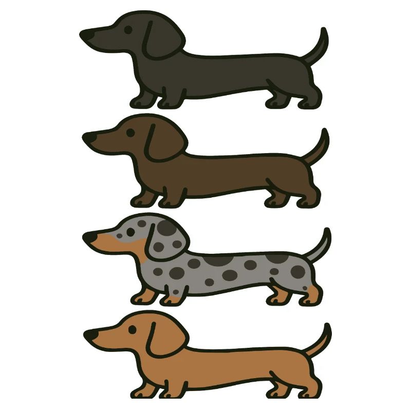 Variations de couleur de Teckel mignons