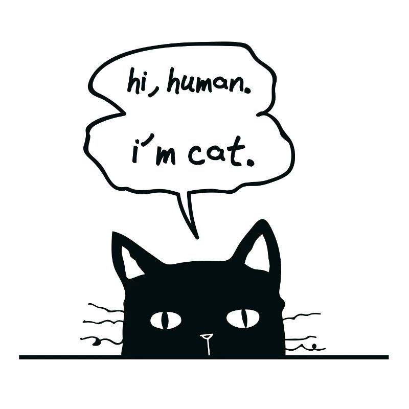 amants de chat