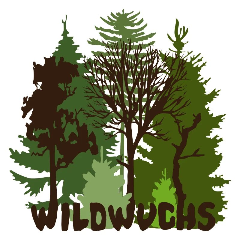Forest nature tree trees wild wildwuchs
