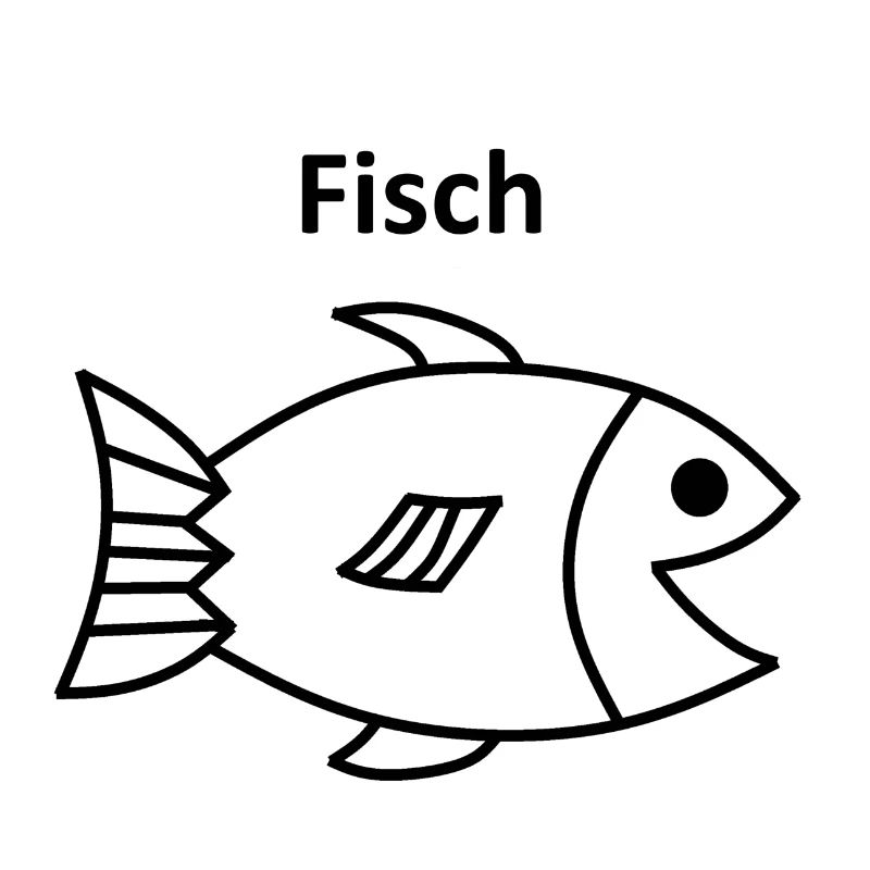 A fish