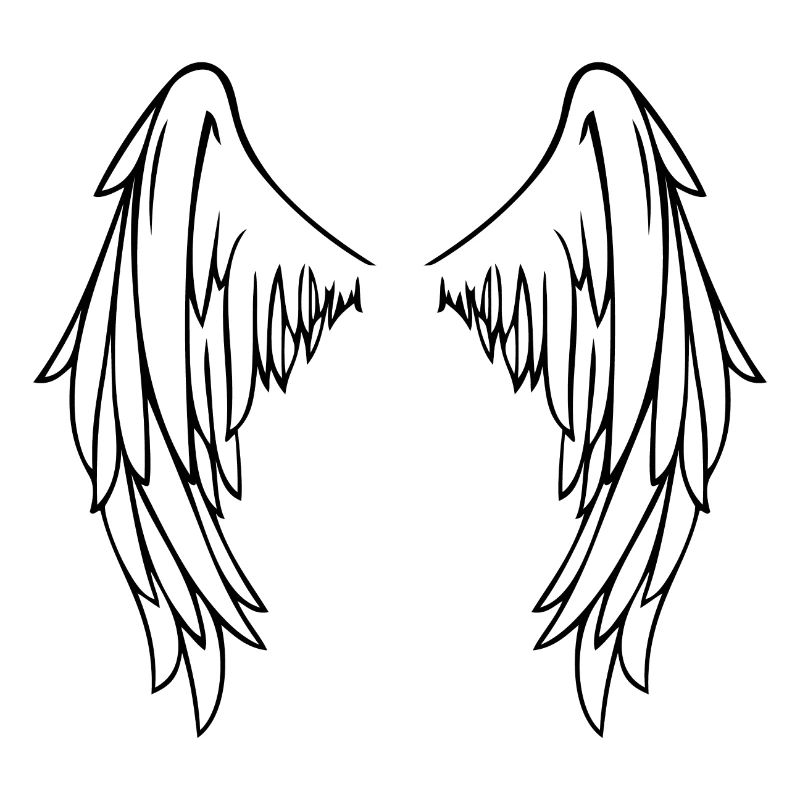 Wings de