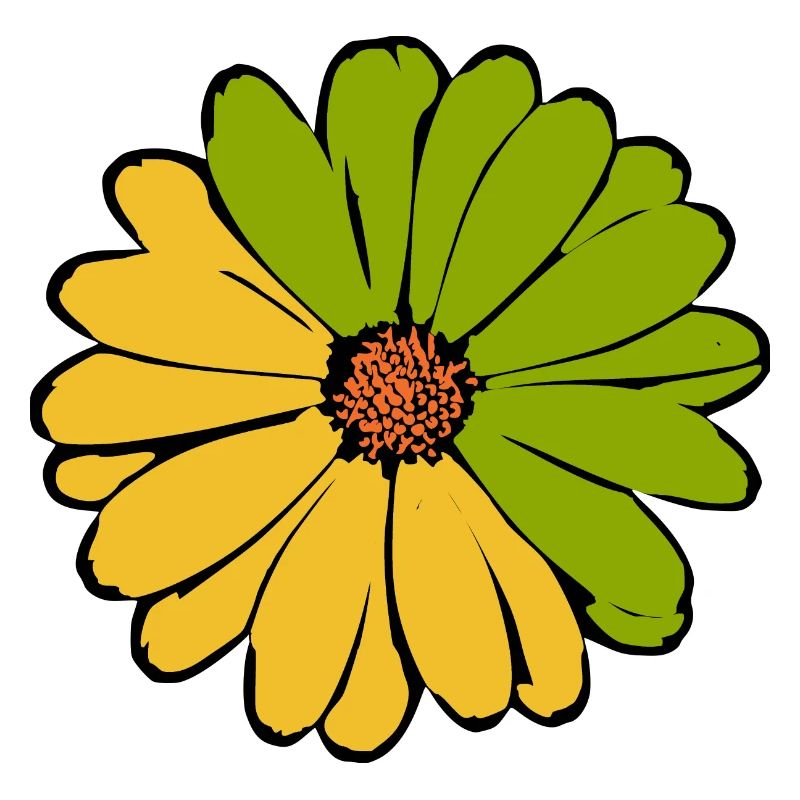 Fleur jaune vert jaune vert fleur