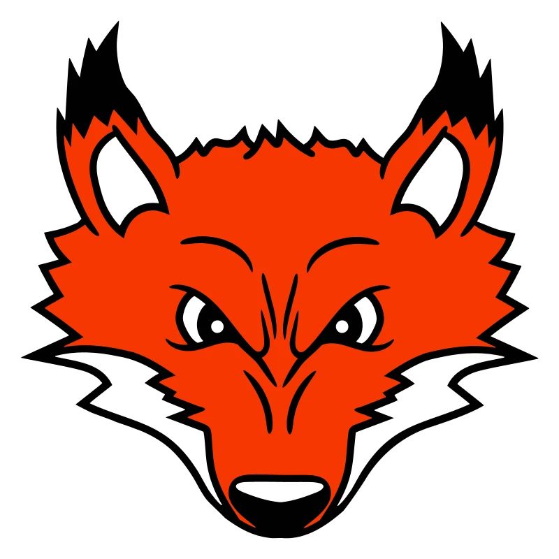 Fuchs Böser Blick Gefährlich Rotfuchs Wildes Tier