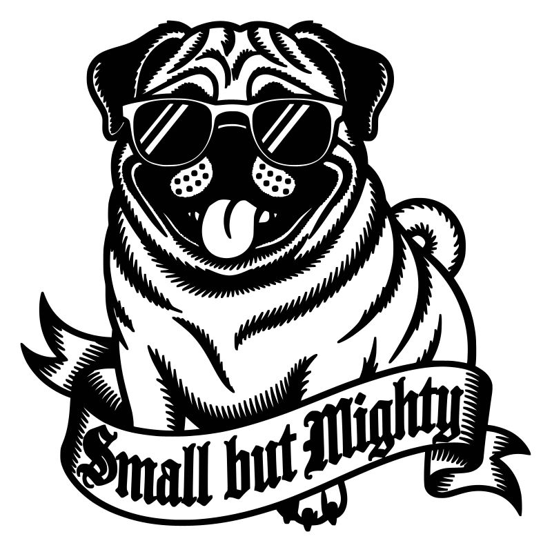 Mops mit der Aufschrift "Klein, aber oho"