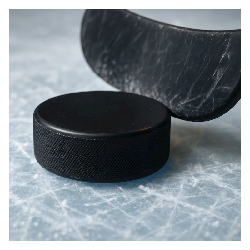 Hockey - Stick and puck