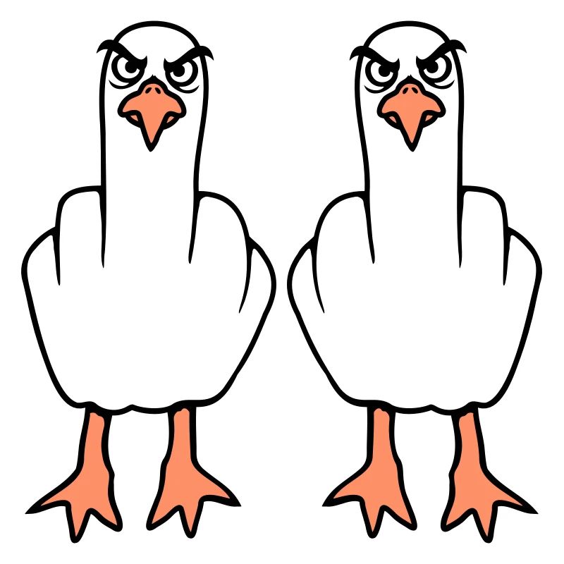 2 Seagulls Middle Finger Insult Stinkfinger Team