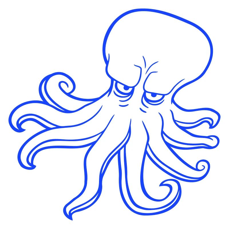 Octopus Octopus Octopus Squid Cephalopod Evil Eye