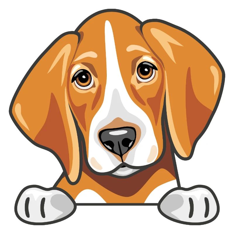 Coup d’œil mignon foxhound triste