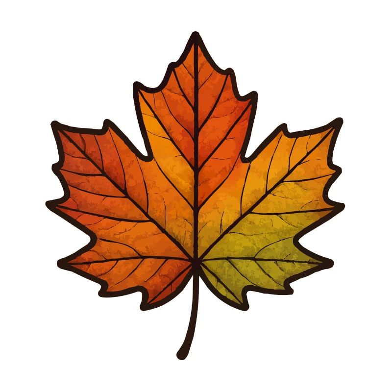 Leaf Autumn Maple Leaf