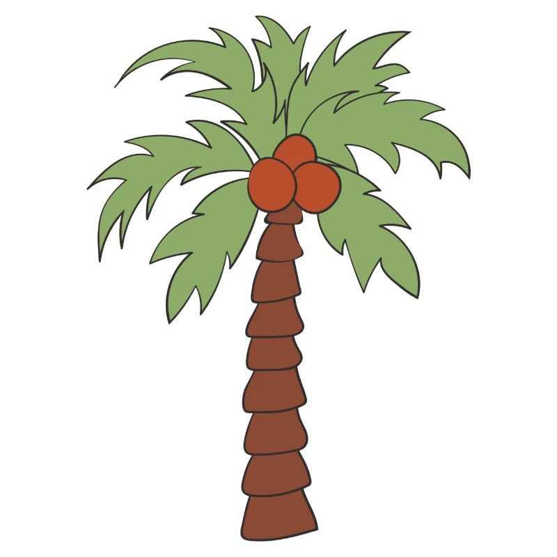 Palm tree