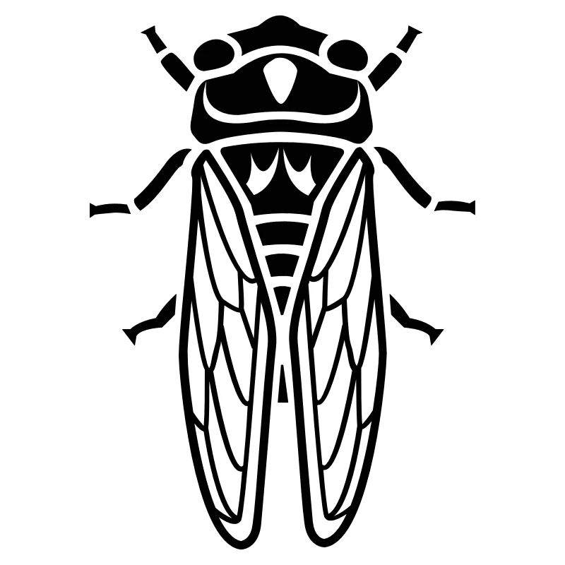 Cicada - insectes