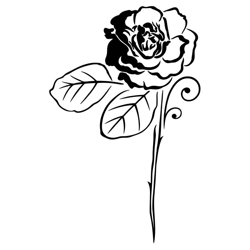 Rose Roses Fleur Fleur