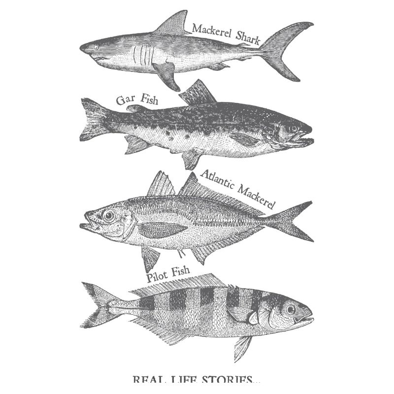 Echte Fischsilhouetten