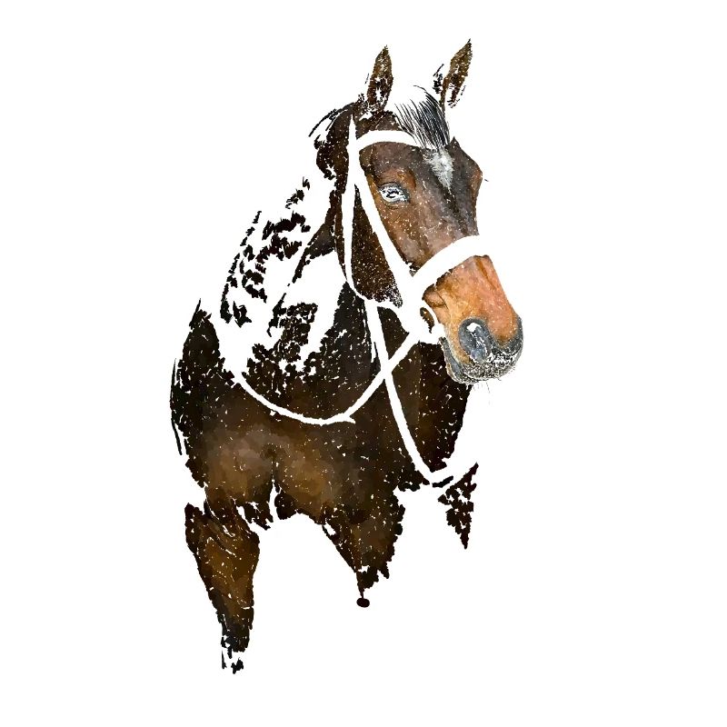 Pferd