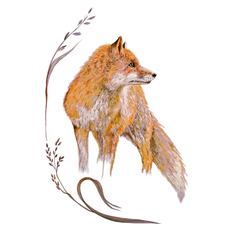 Fuchs