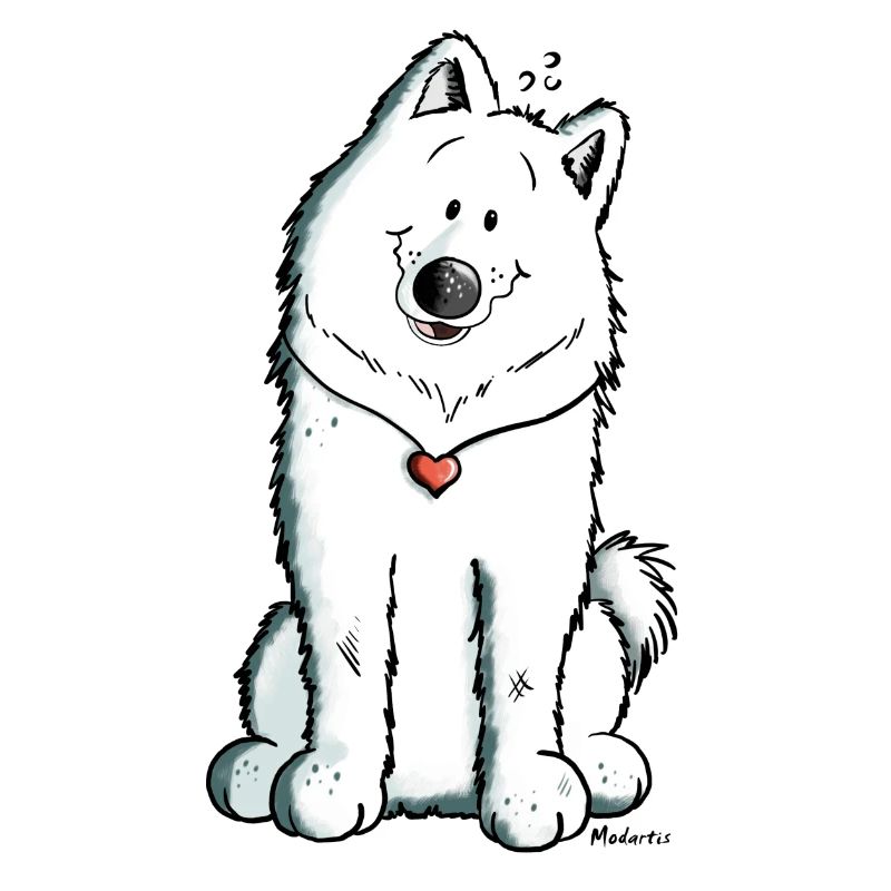Samoyed with heart