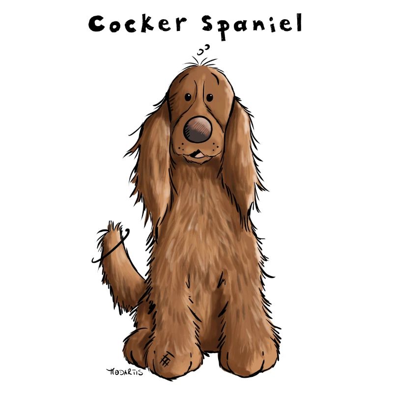 Funny Cocker Spaniel