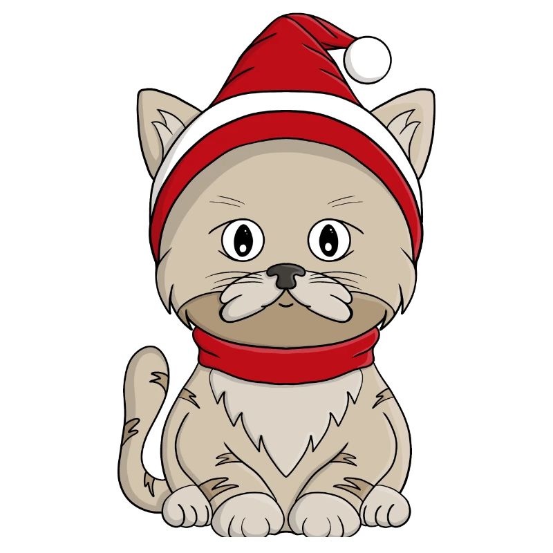 Kitty d’hiver