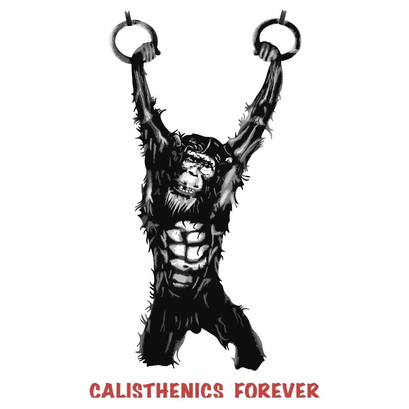 Calisthenics Evolution - Gymnastikringe