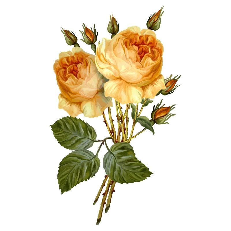 Fleur