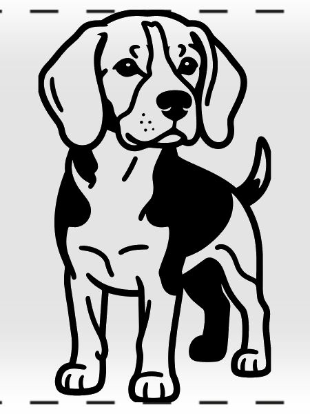 Beagle Dog