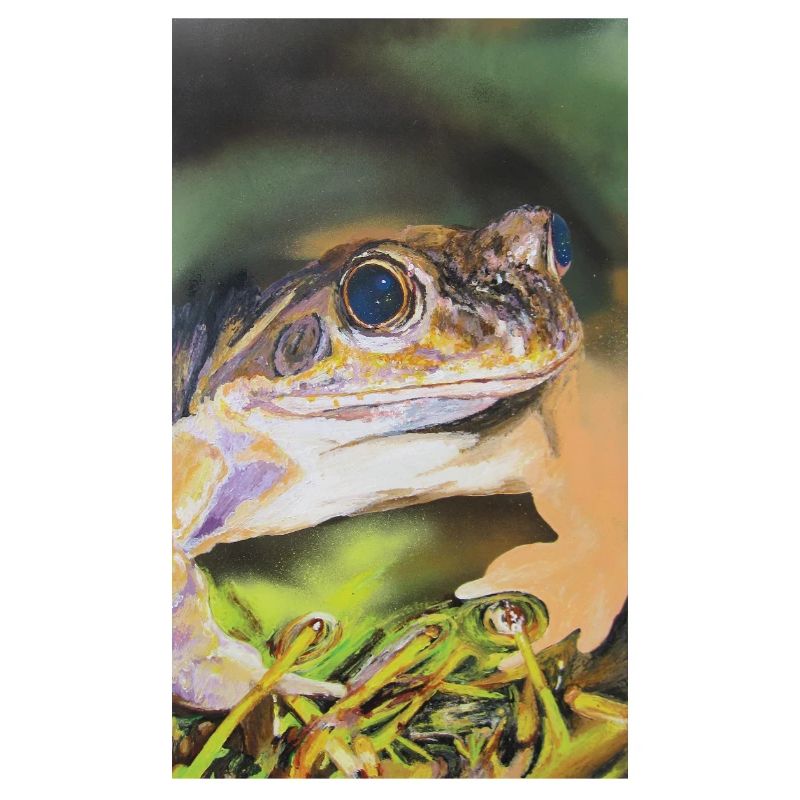 Frosch