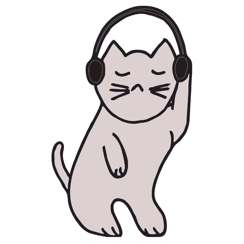 Reine disco chatte