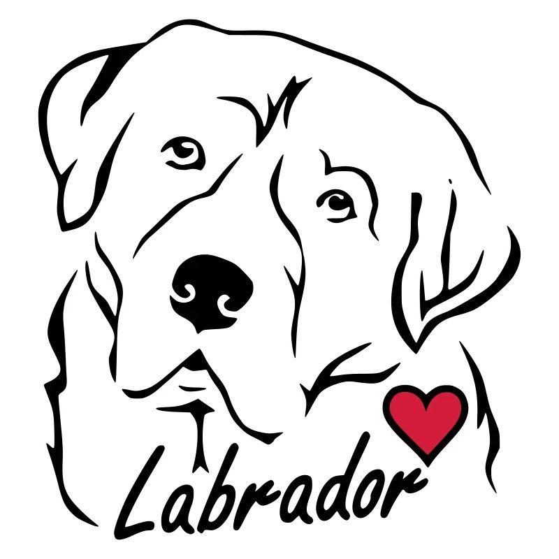 Labrador ❤