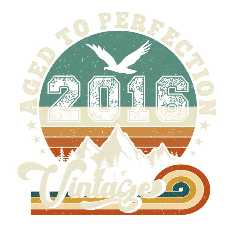 2017 Vintage Retro Anniversary 2017.Edition 2025.